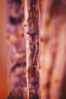 Close-up of a creative work detail from one of our featured portfolios