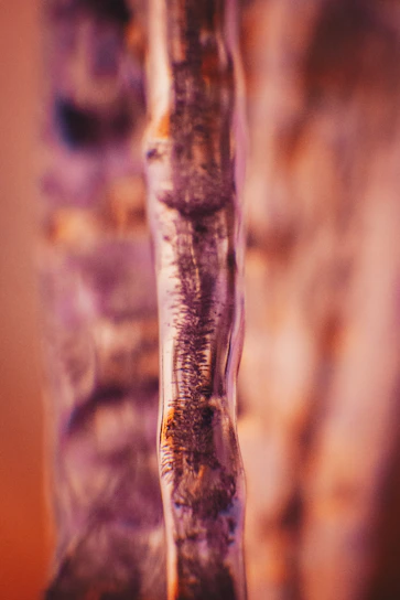 Close-up abstract texture of natural skincare ingredients blending softly.