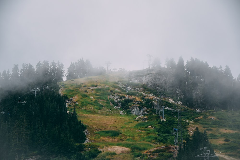 mountain covered with fog