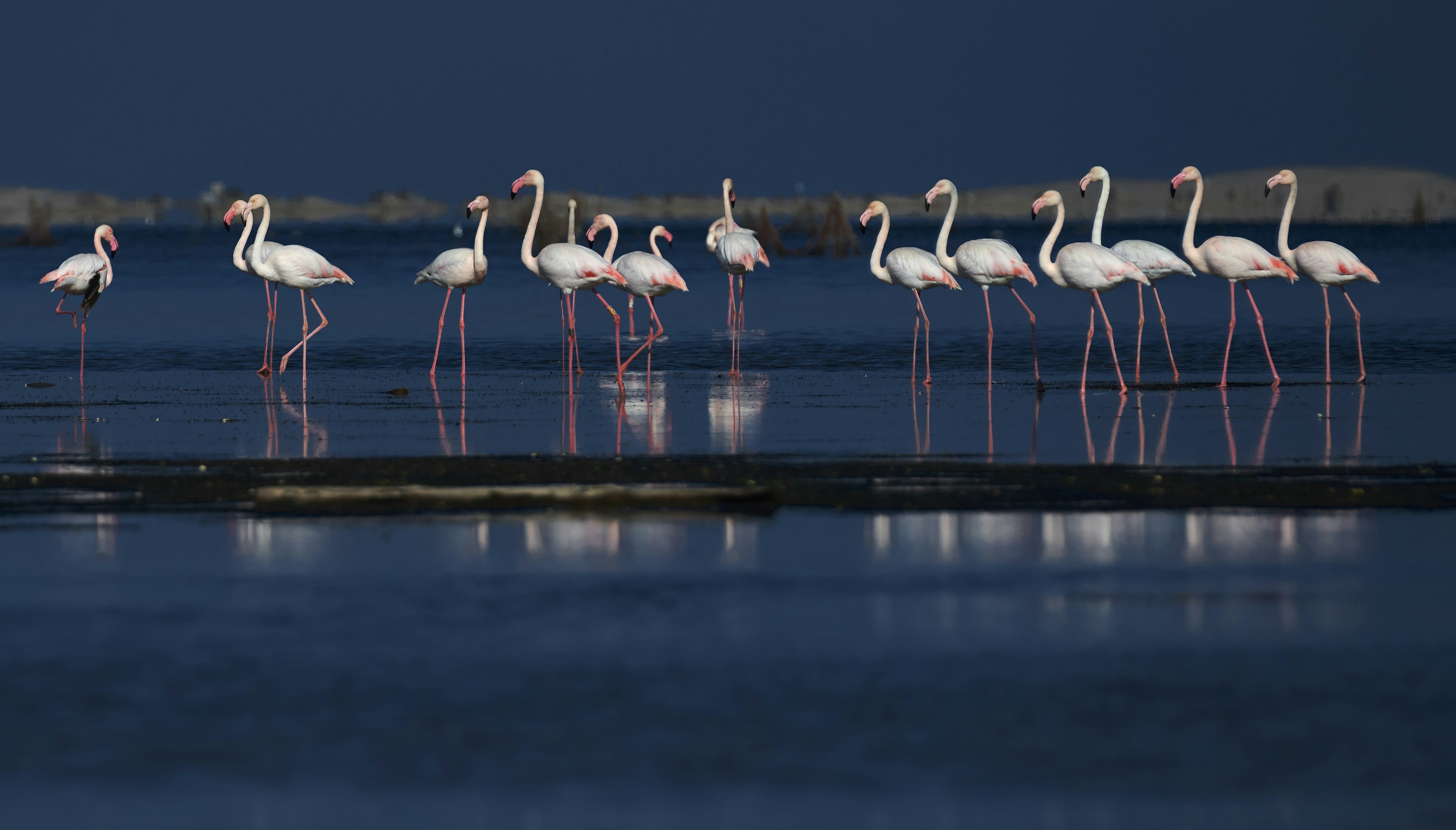 Photo by afs_snapshots