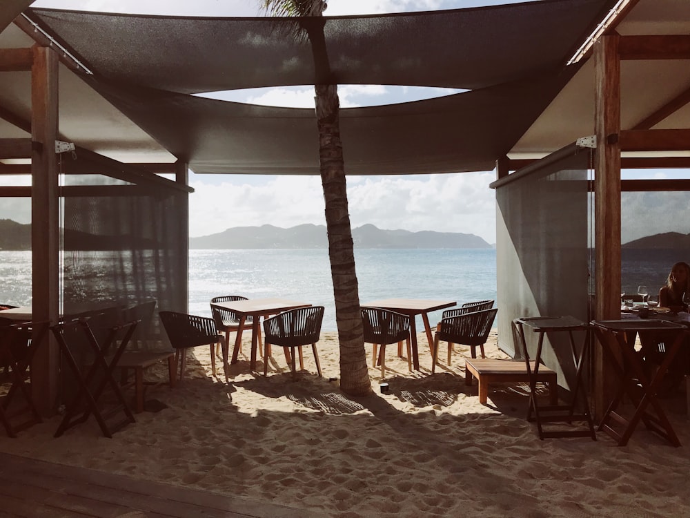 palm tree between table and chairs in sea shore