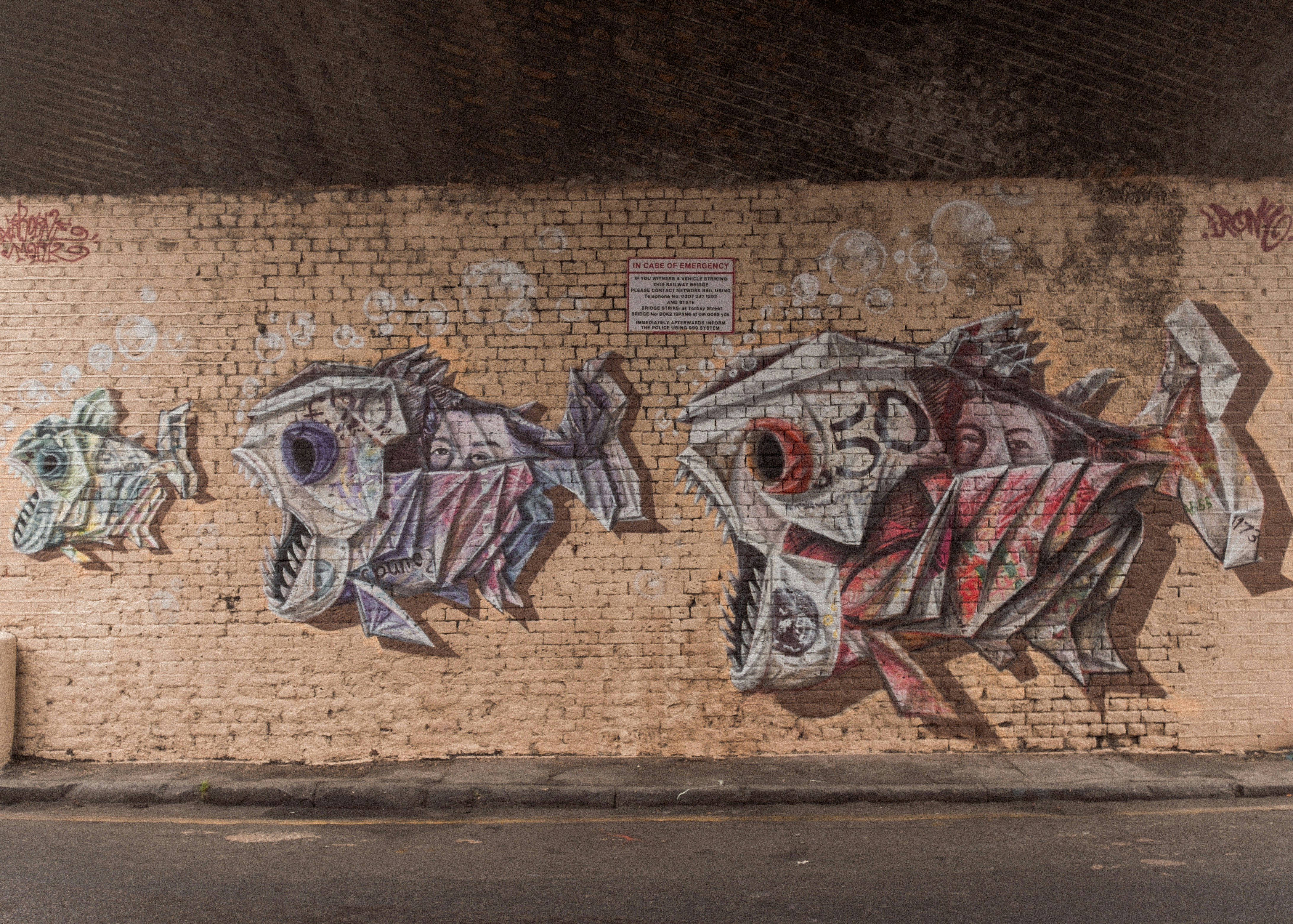 피라냐 접이식 지폐 장식