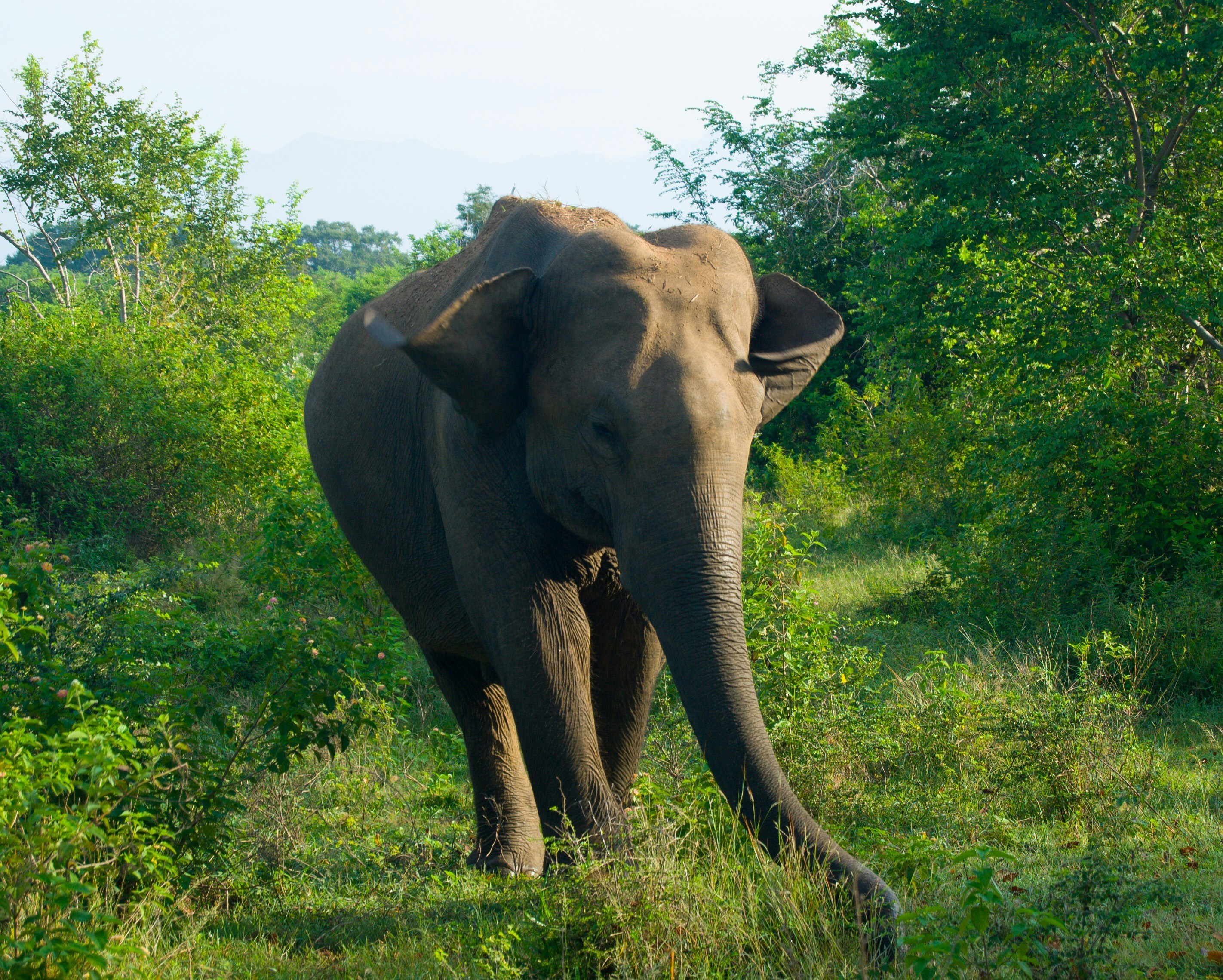 Photo by vanesapucci