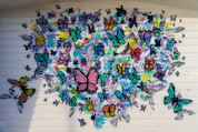 butterfly wall decor