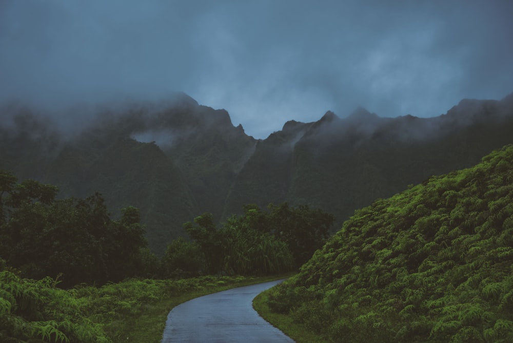 gray concrete road across cloudy mountain