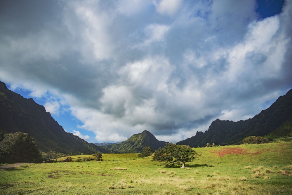 landscape photography of mountain