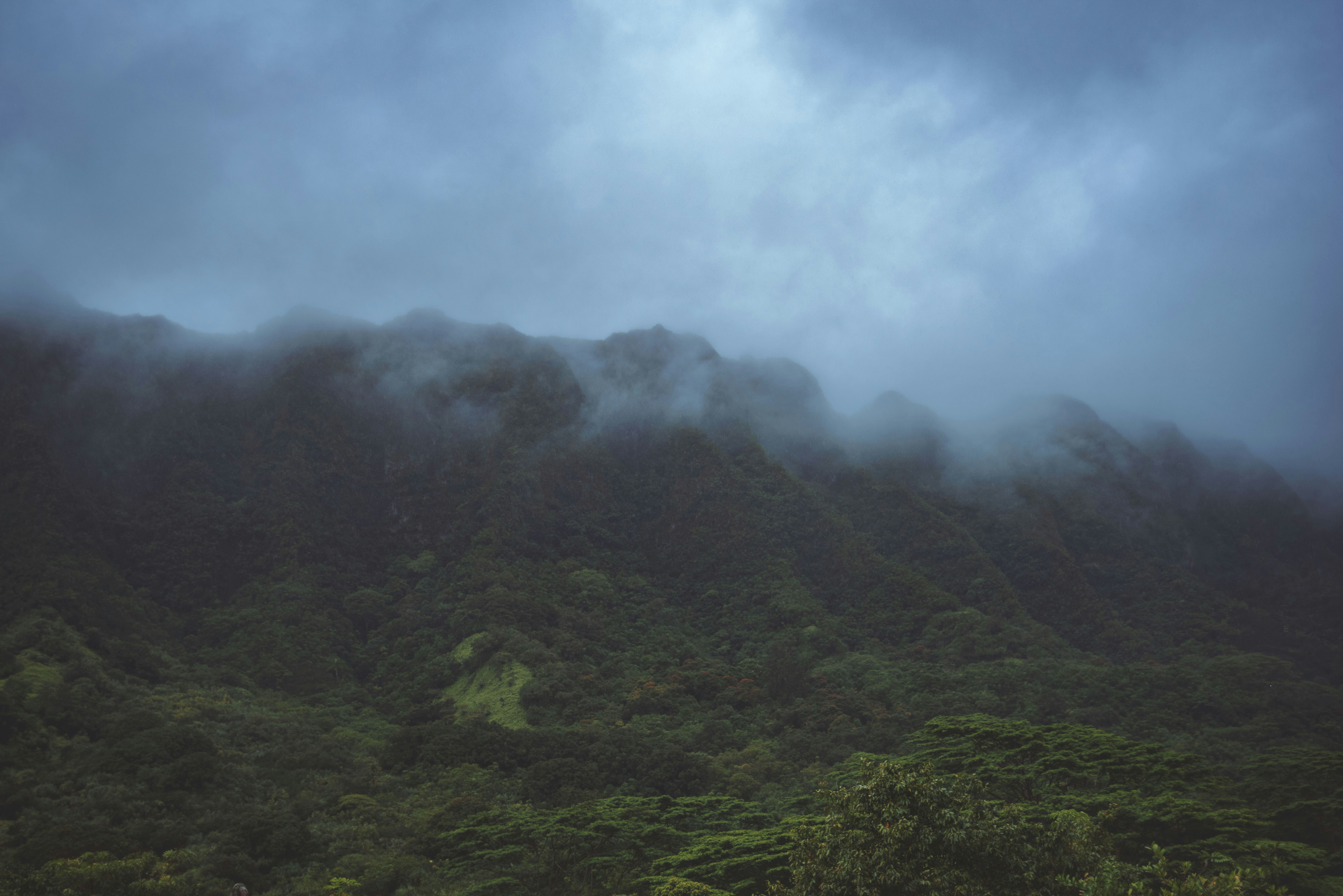 Photo by jmiller7176