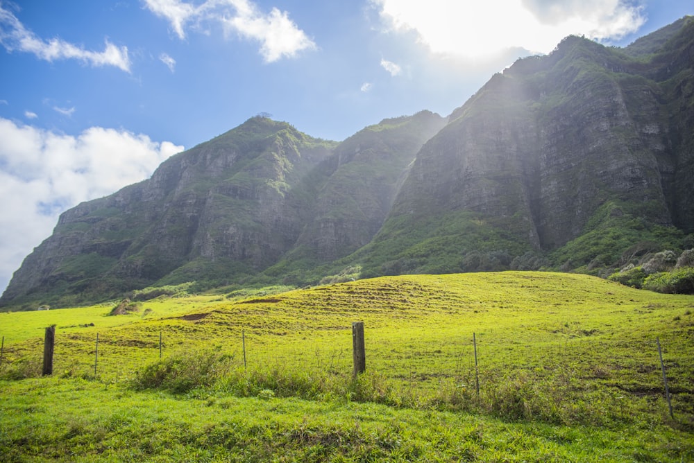 green grass field across mountain