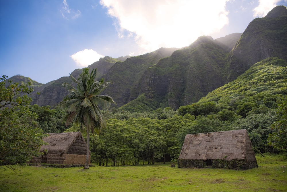 two brown hut across mountain photo