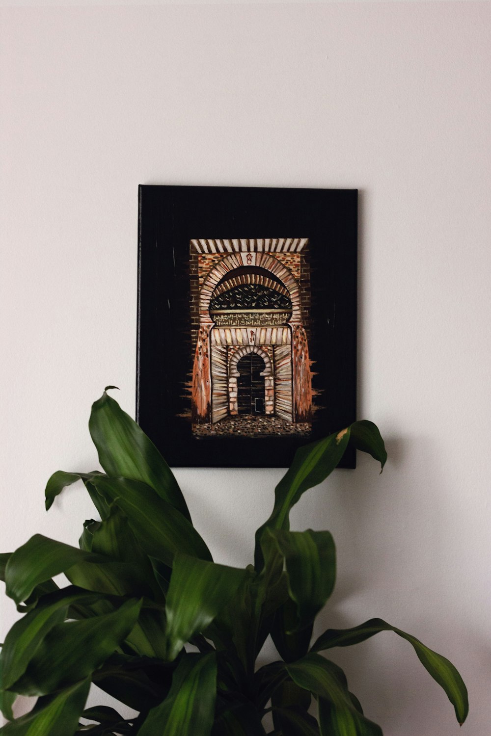 green-leafed plant besides black and brown wall decor
