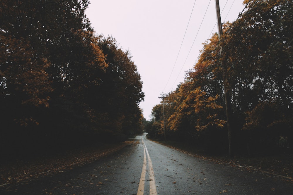 empty concrete road photo during daytime