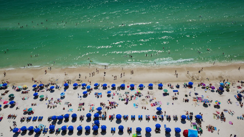 birds-eye view photo of seashore