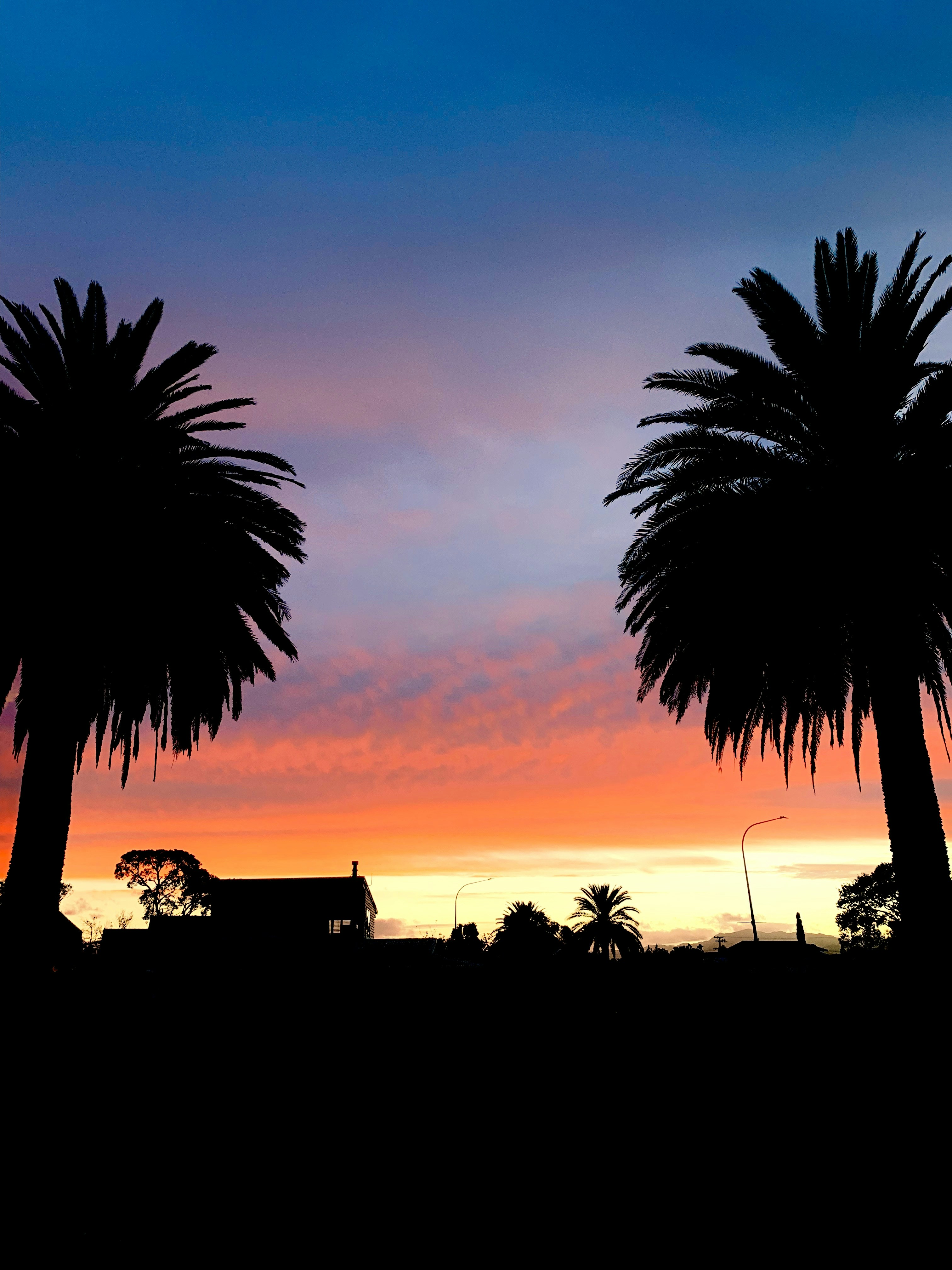 silhouette of house and trees