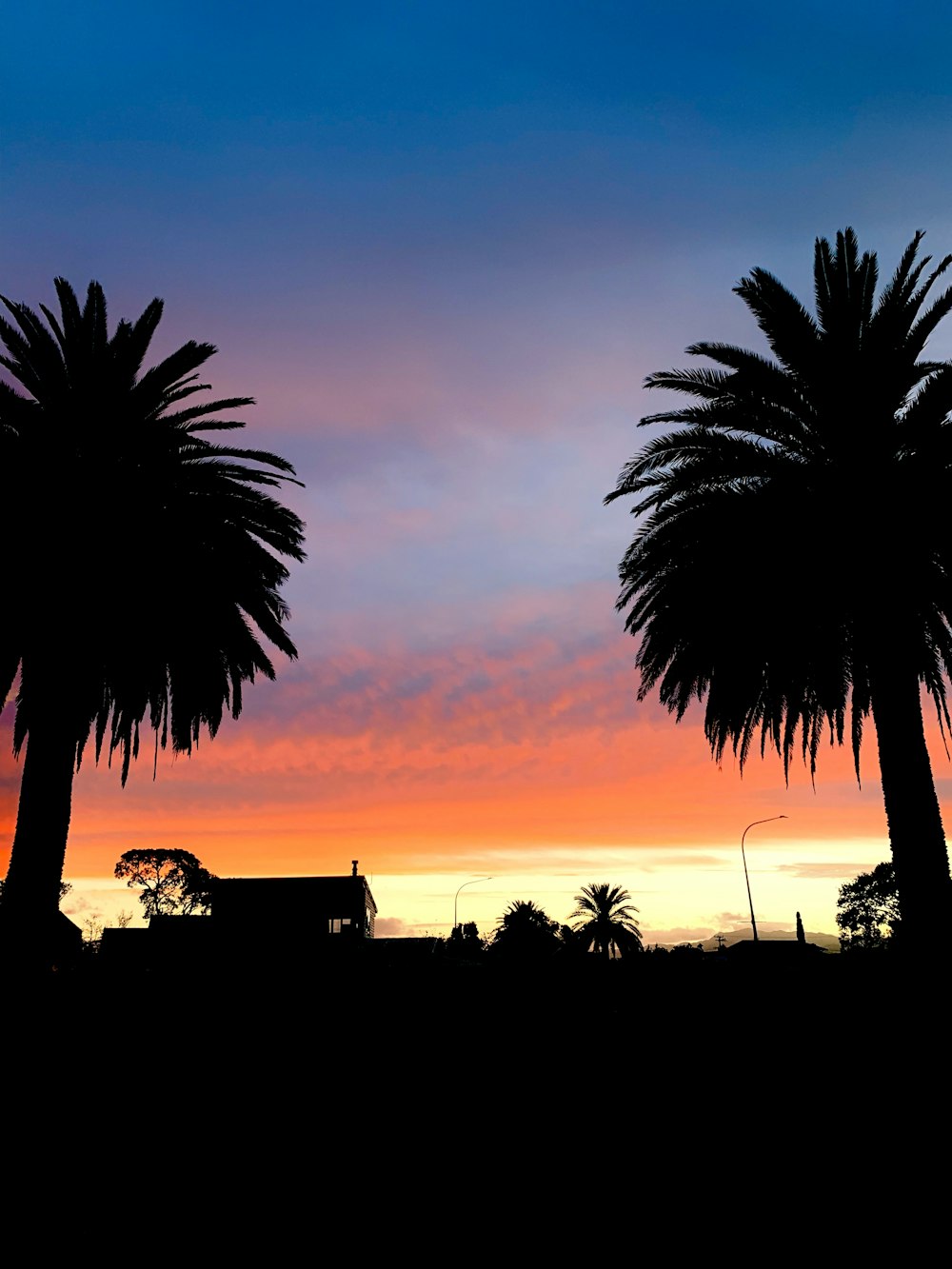 silhouette of house and trees