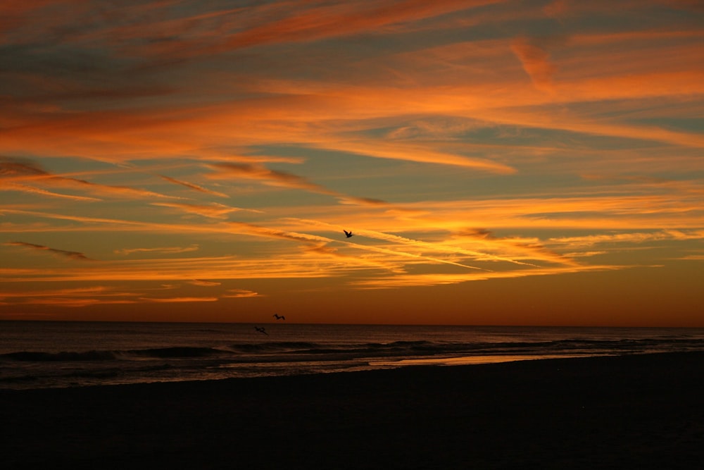 seashore during golden hour