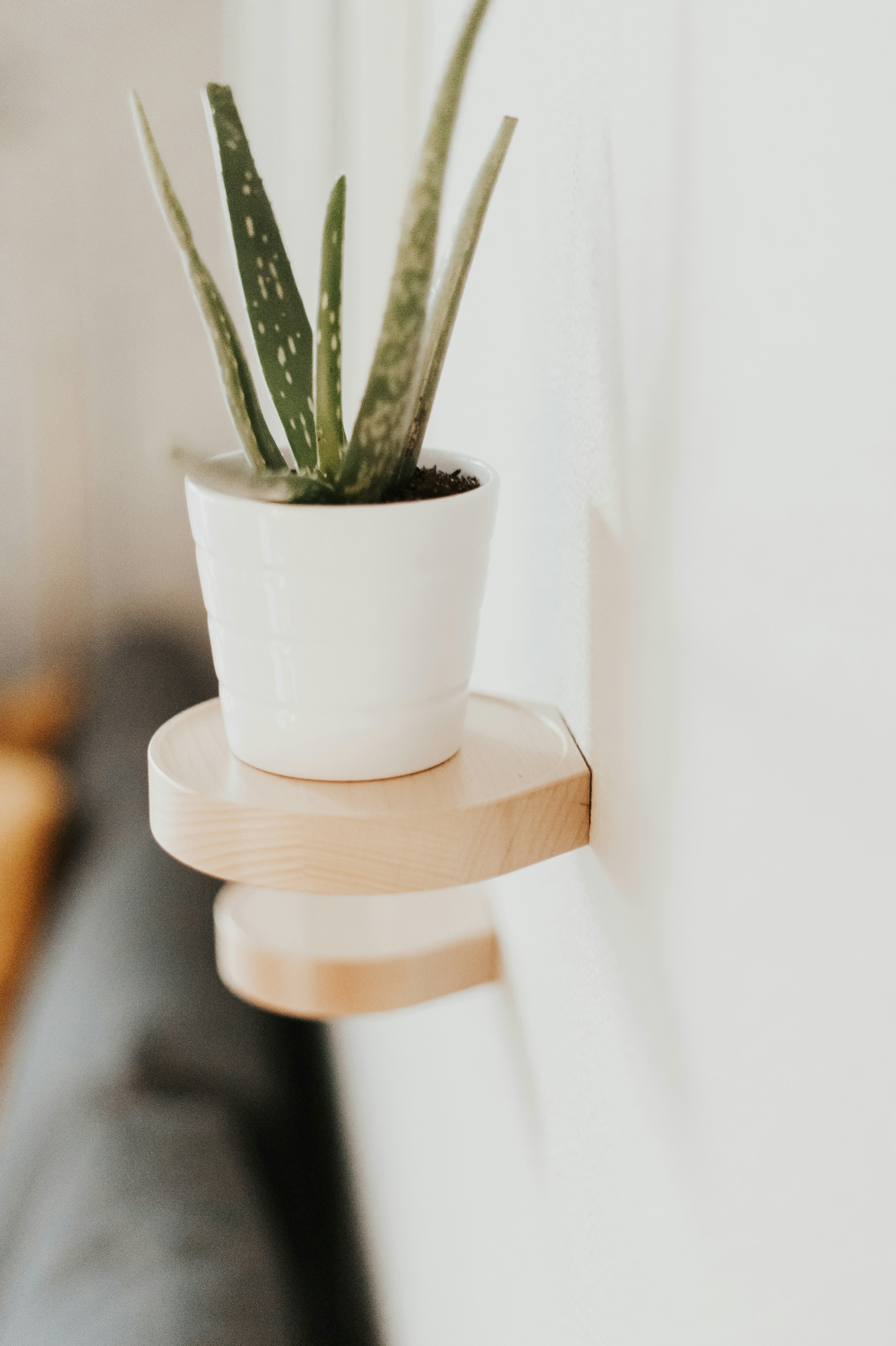 Photo by srosinger3997