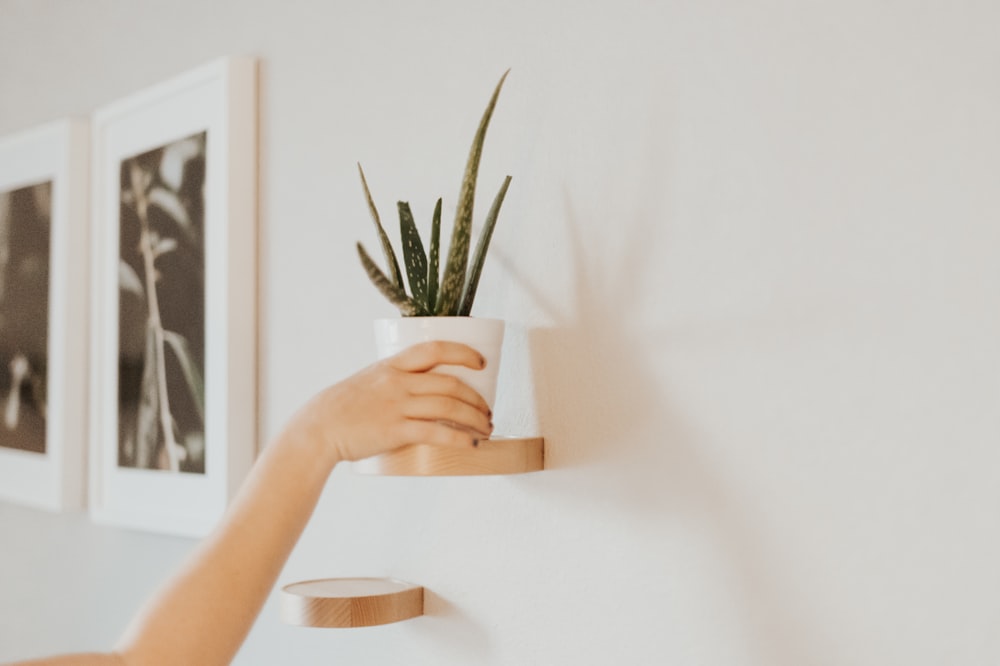 person holding white ceramic pot