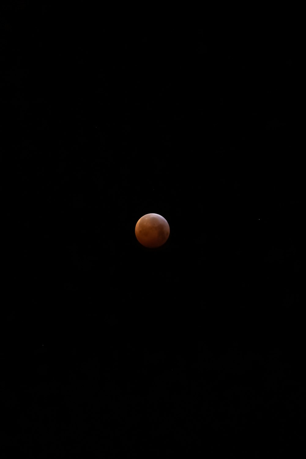 brown and white moon