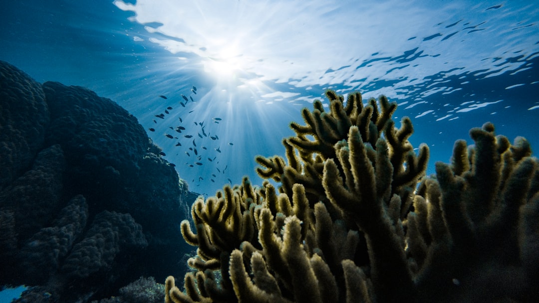 Great Barrier Reef