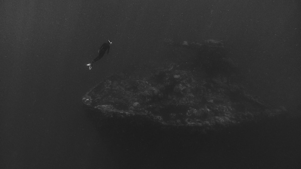 a bird flying over a rock in the ocean