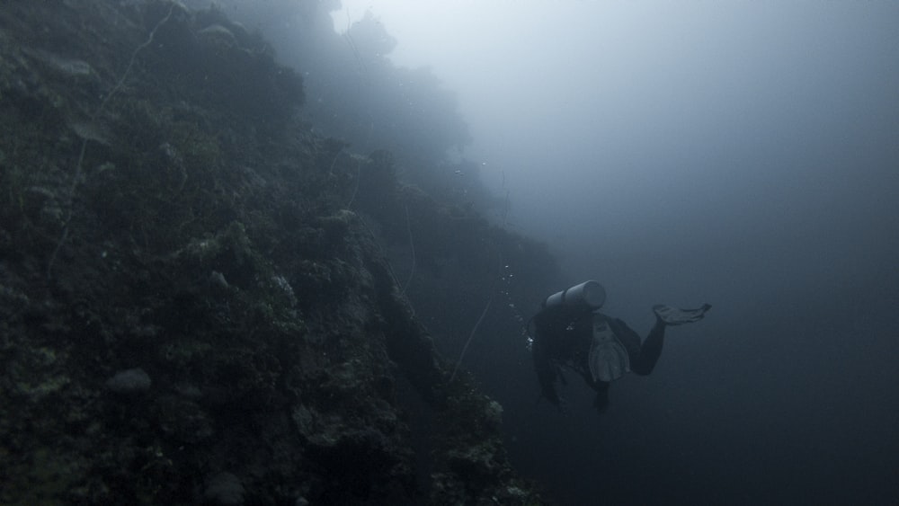 person underwater photo