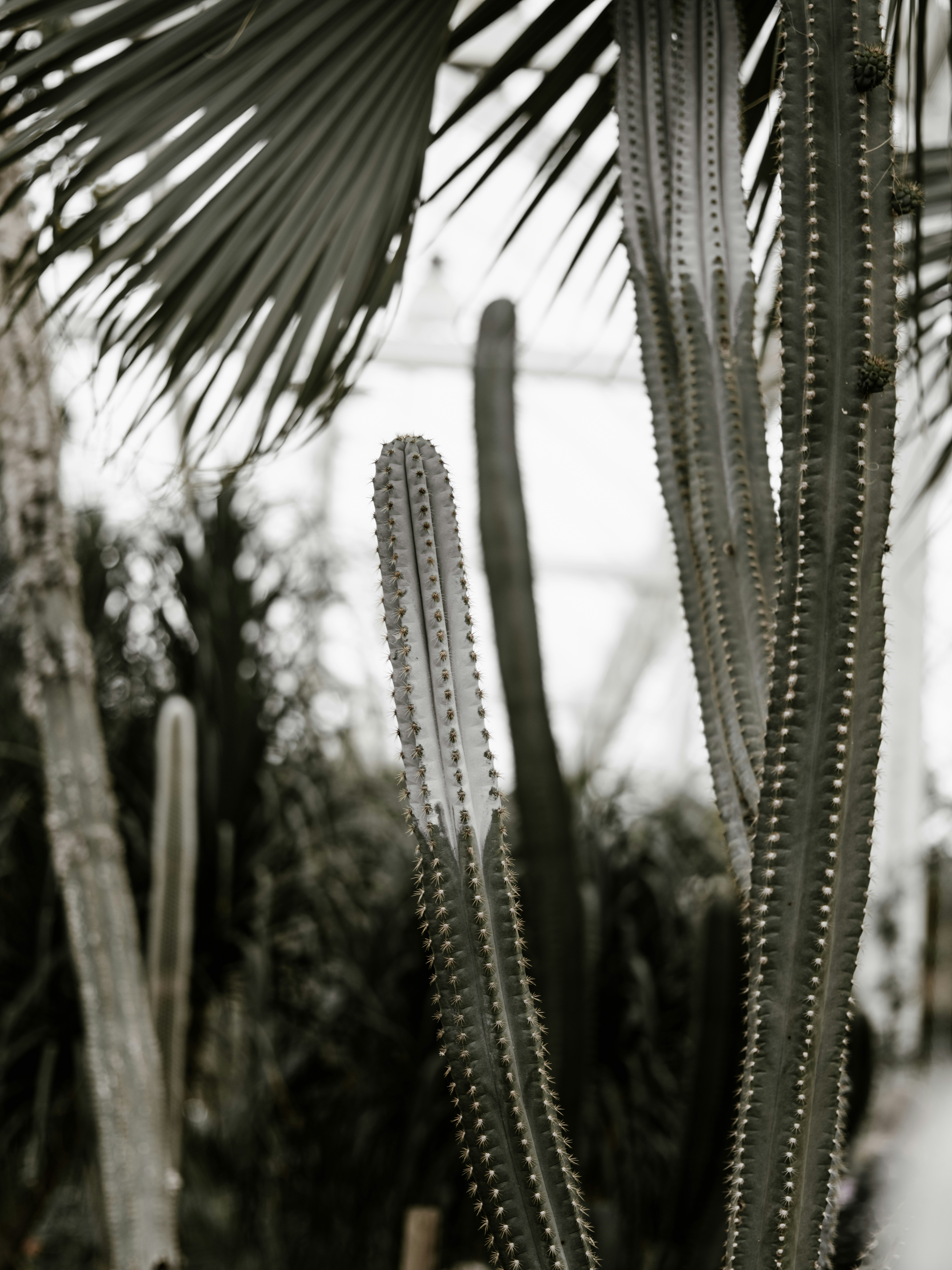 Photo by anniespratt