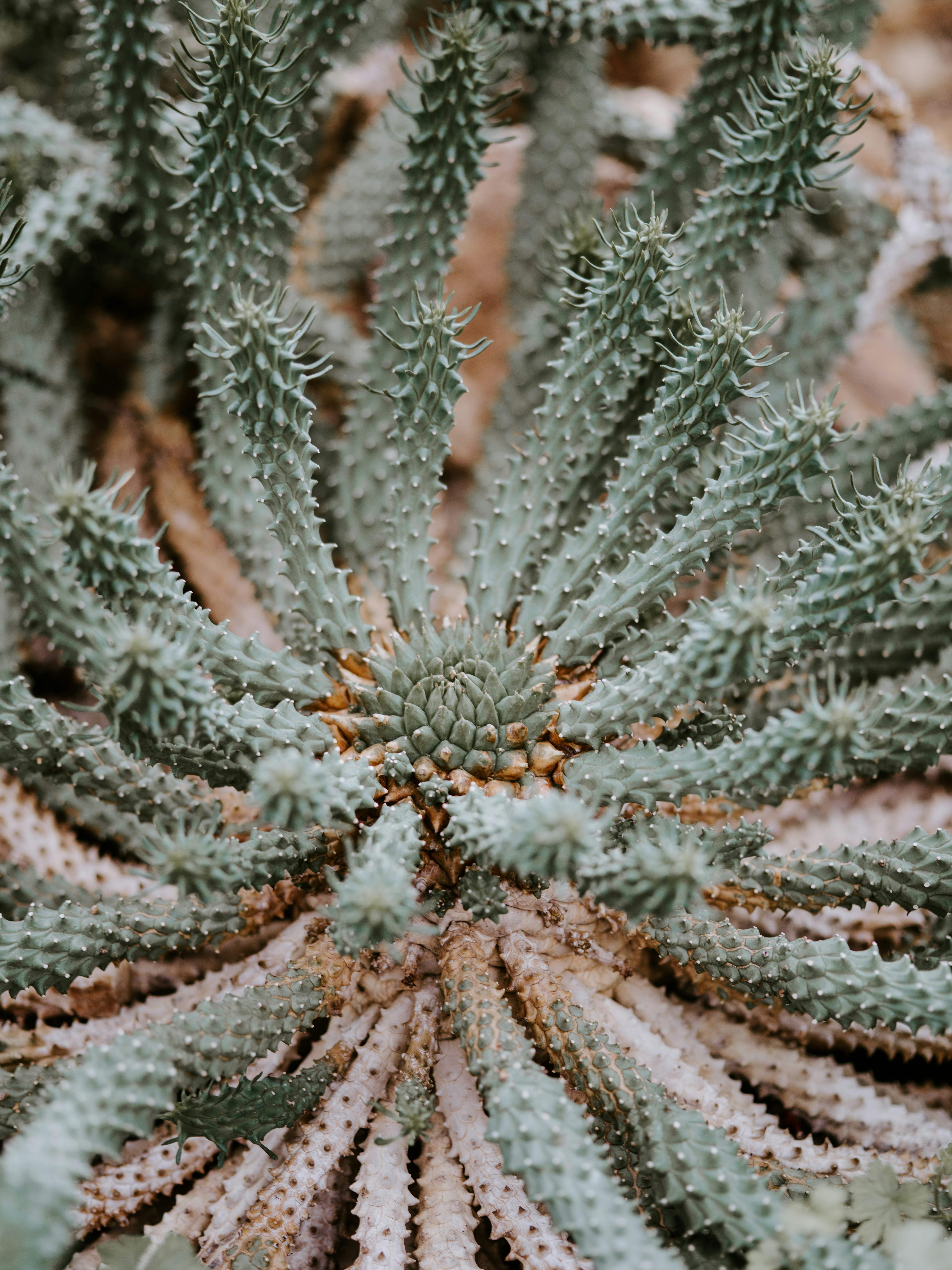 Photo by anniespratt