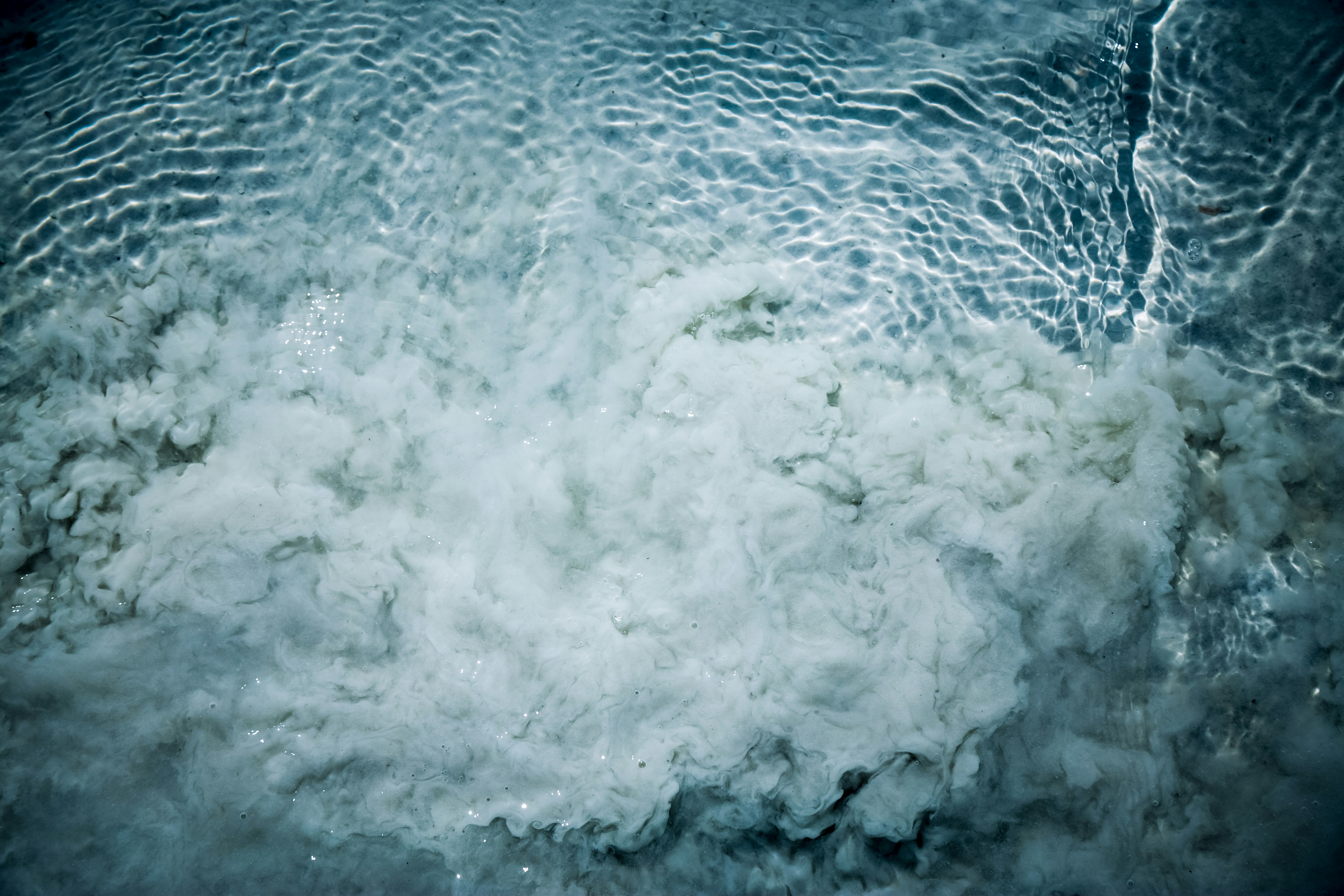 How Salt Shaped Trade Networks Across Continents