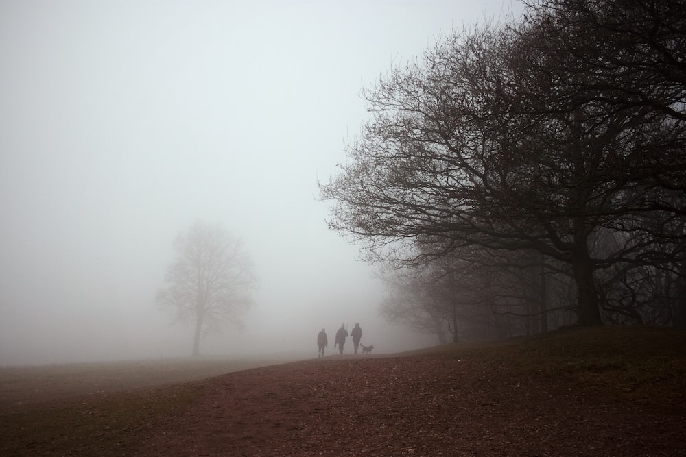 silhouette of 3 person on fog