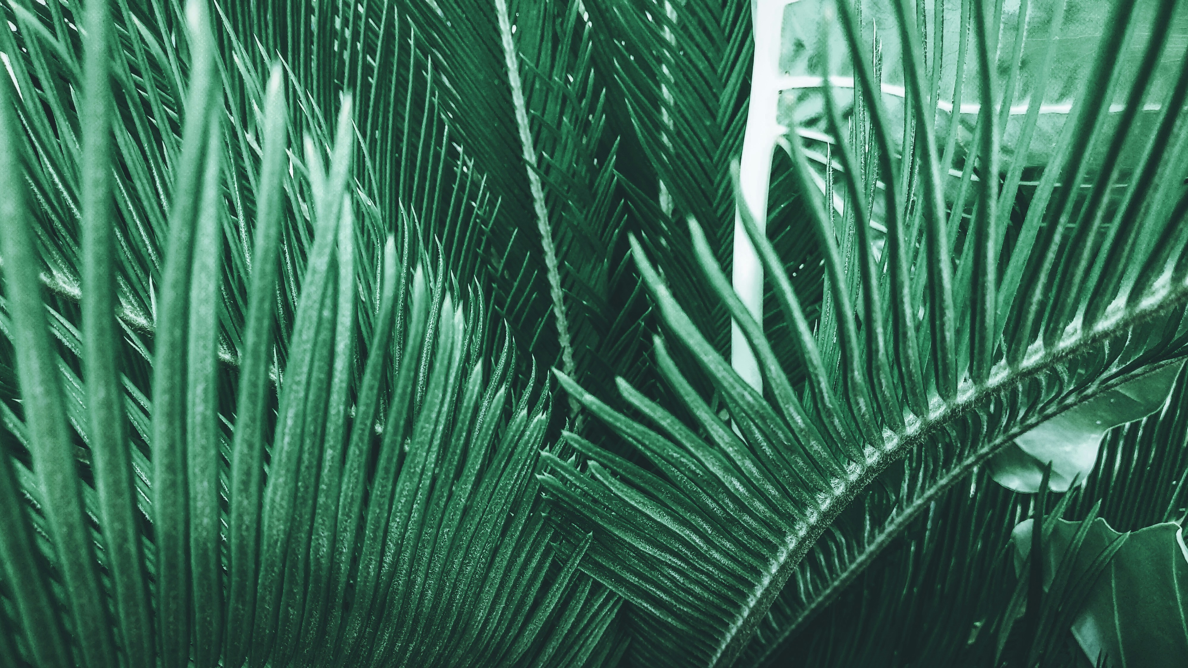 Photo by oktomi_jaya