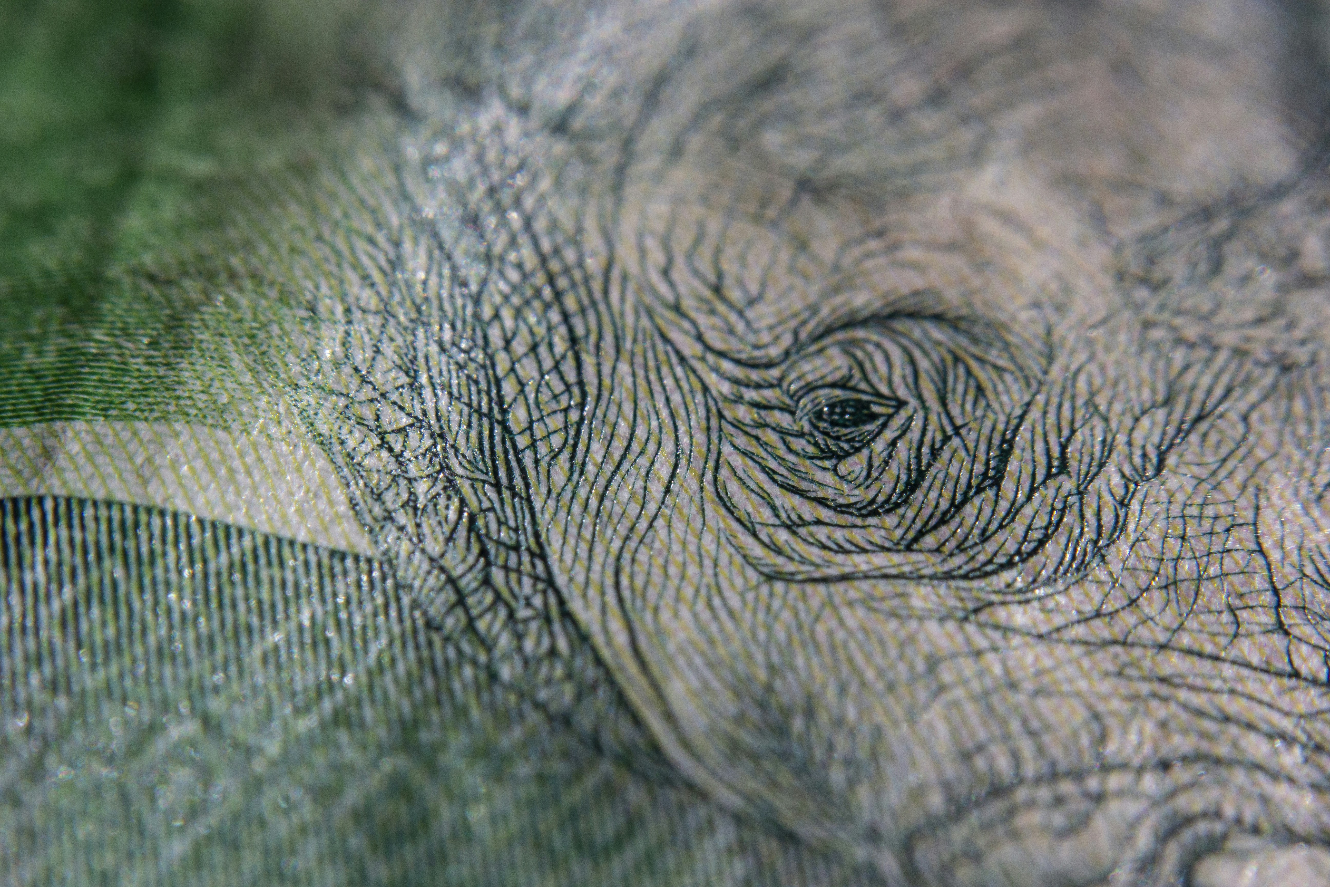 Billete antiguo raro