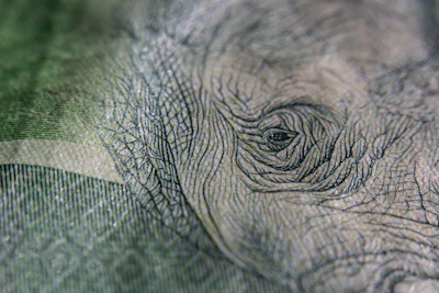 Macro shot showing the fine print and watermark on a £50 bill.