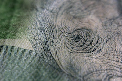 Close-up of intricate printing details on paper products.