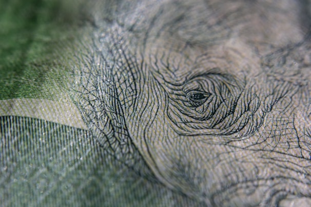 A close-up of the embossed details on a metalmark gold aurum note reflecting light.