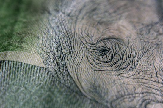 Close-up of a high-security printed document with intricate patterns and watermarks under soft lighting.