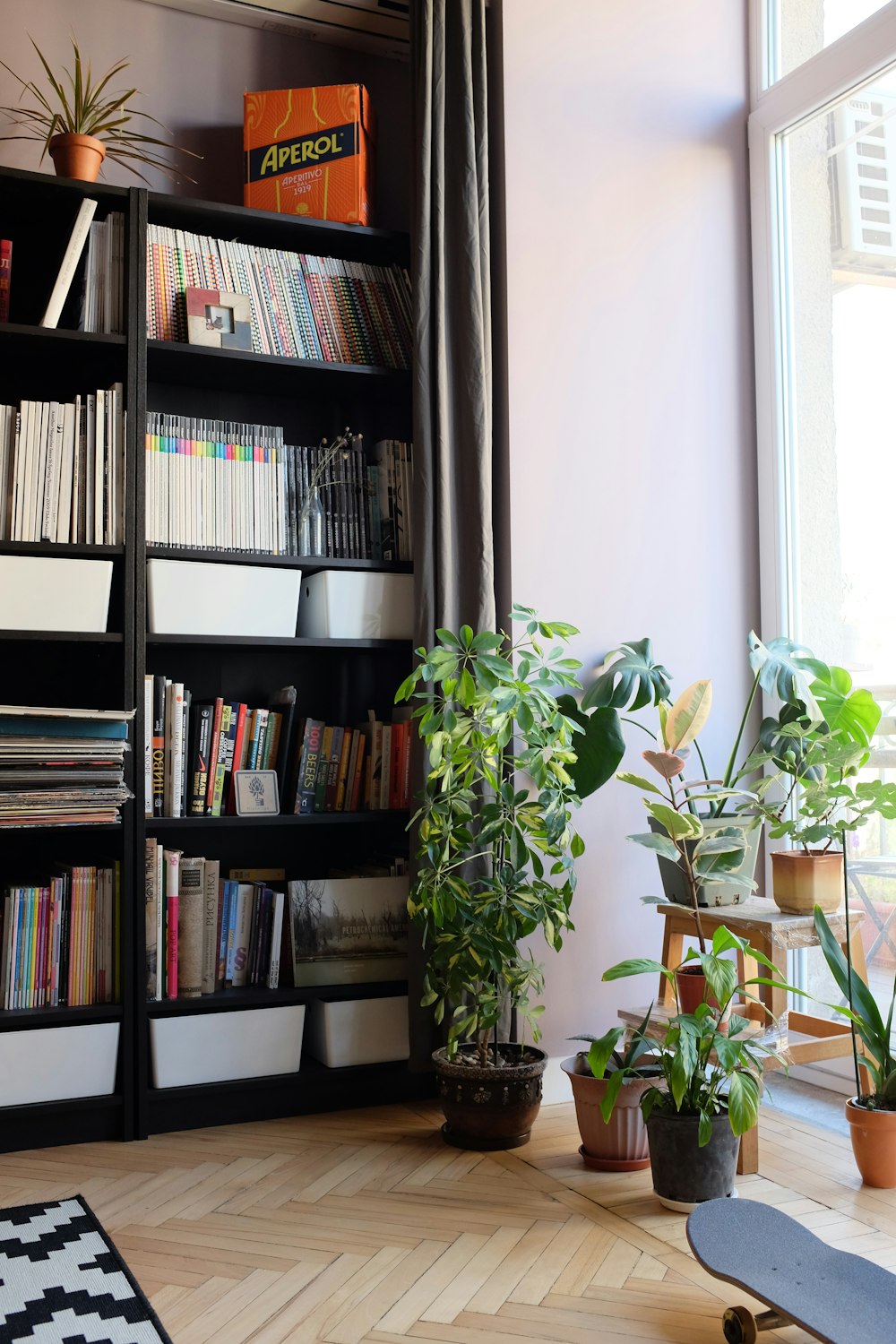 Pflanzen neben Bücherregal mit Büchern
