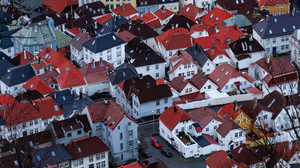 white painted houses in high-angle view photo