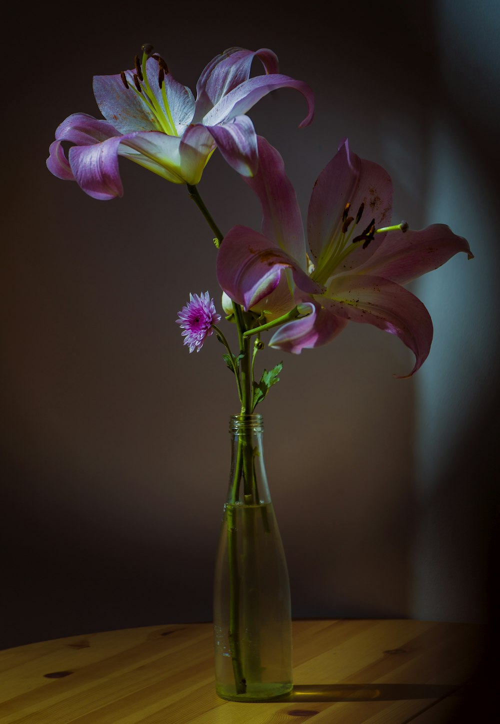 two pink-white-yellow petaled flowers and clear glass vase