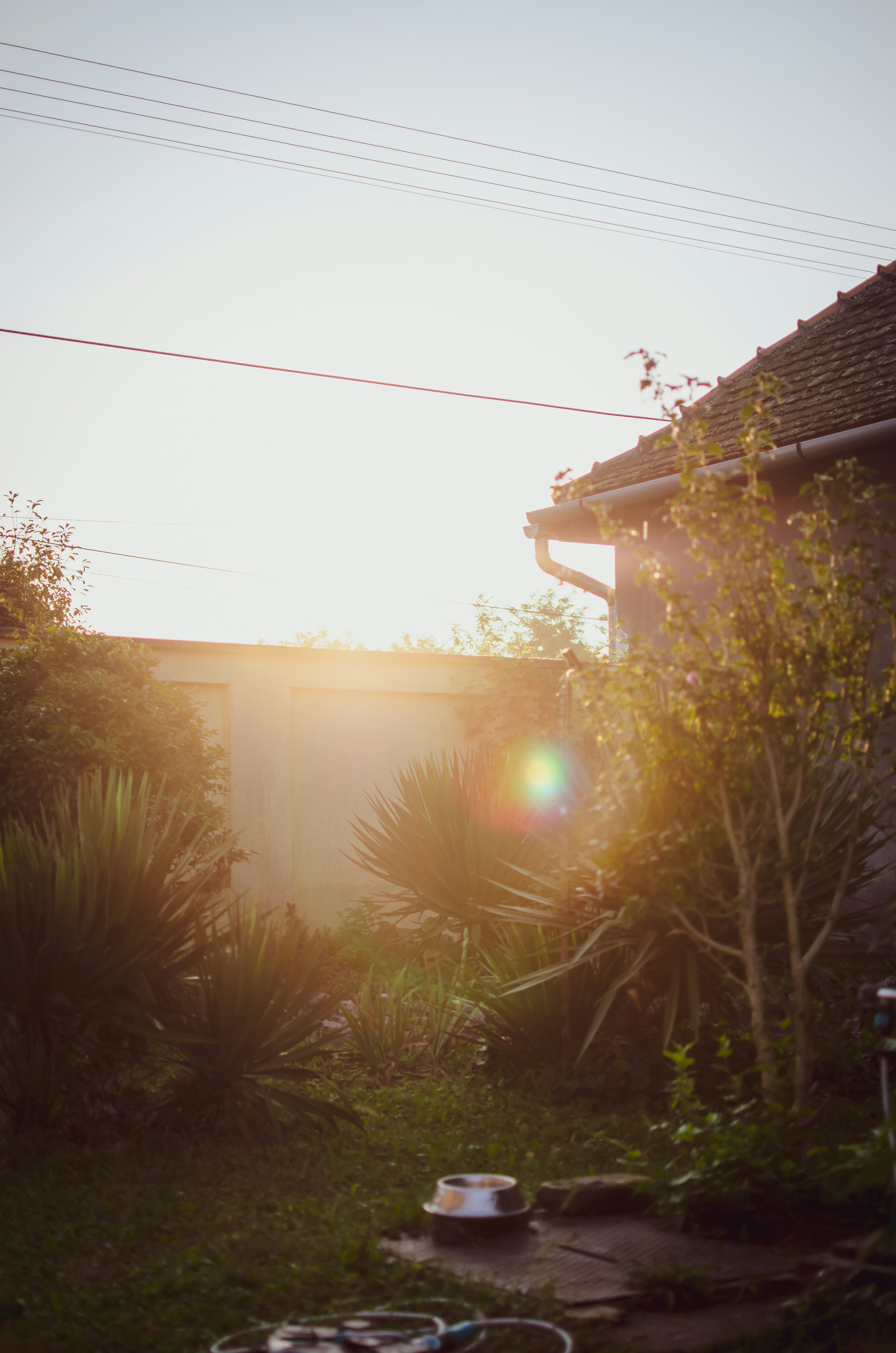 Photo by lenaremmert