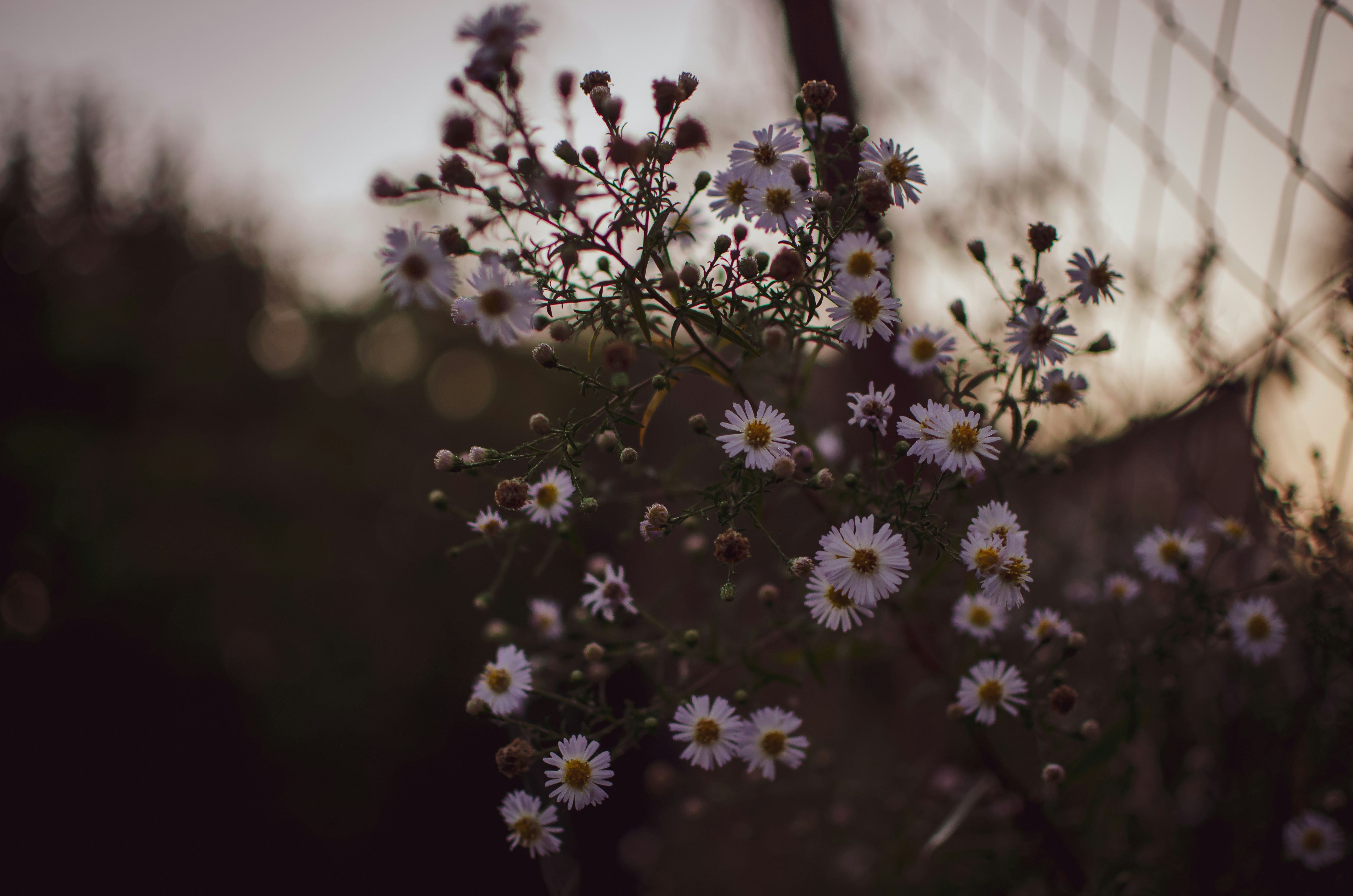 Photo by lenaremmert