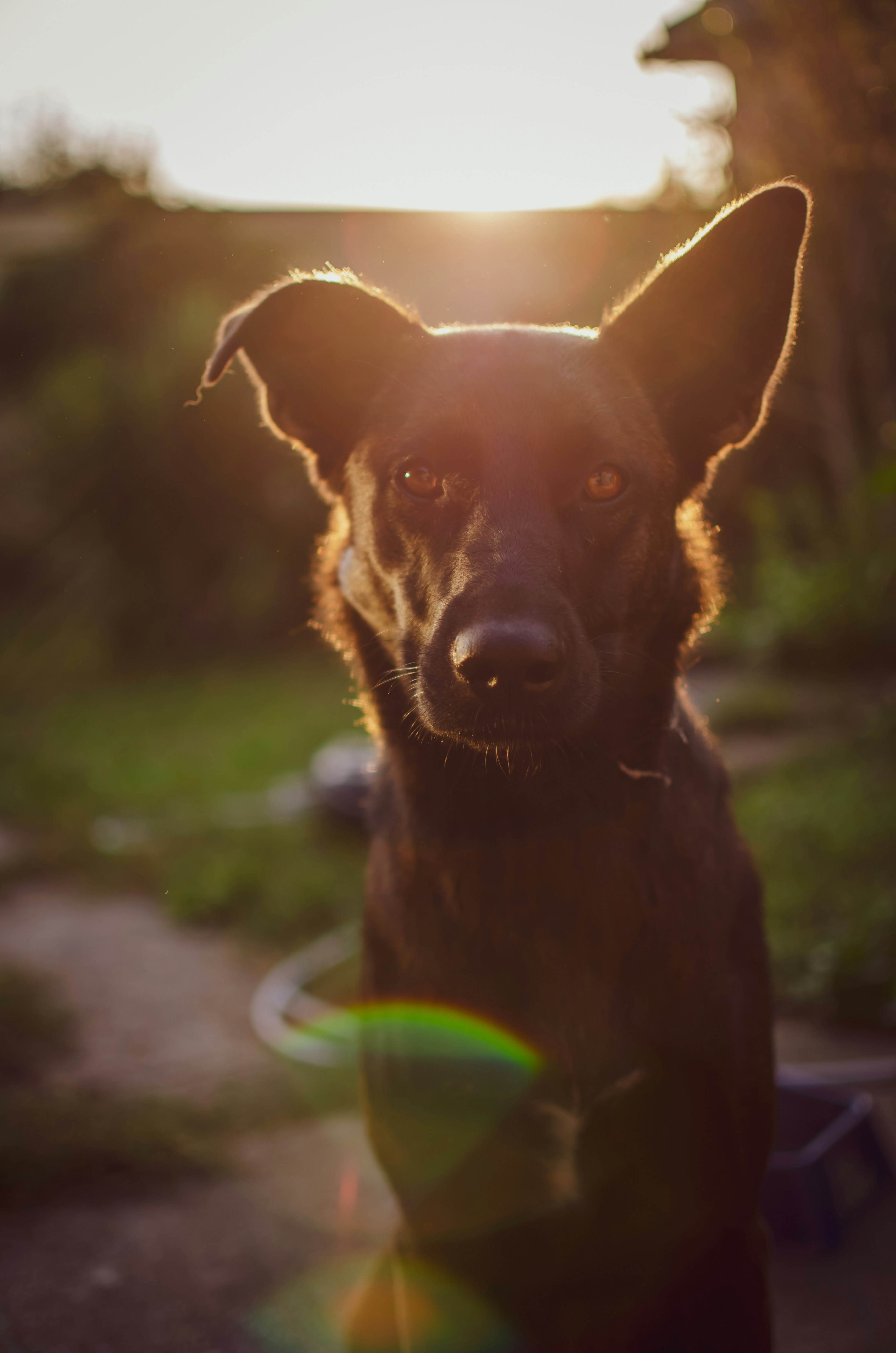 Photo by lenaremmert