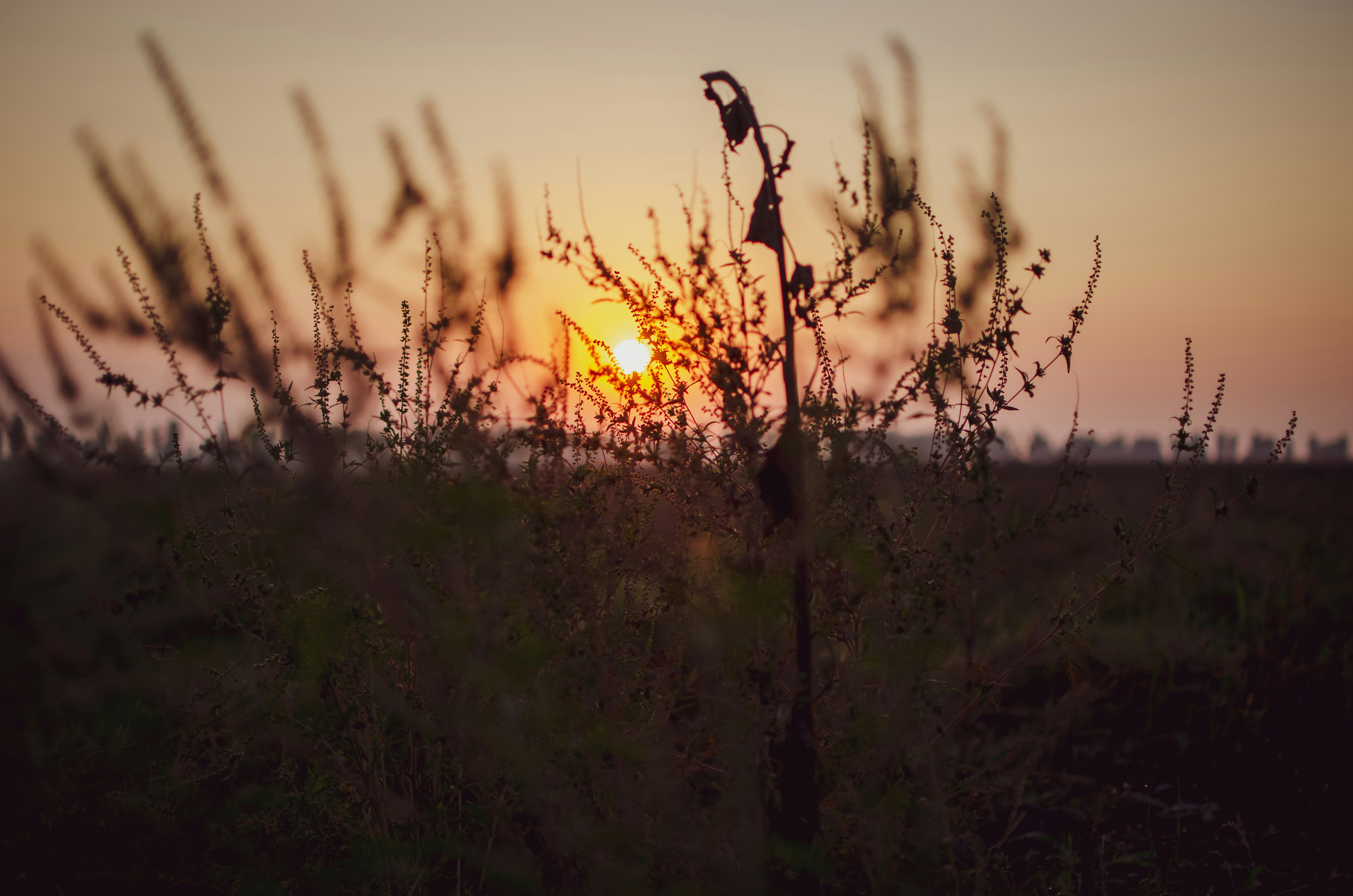 Photo by lenaremmert