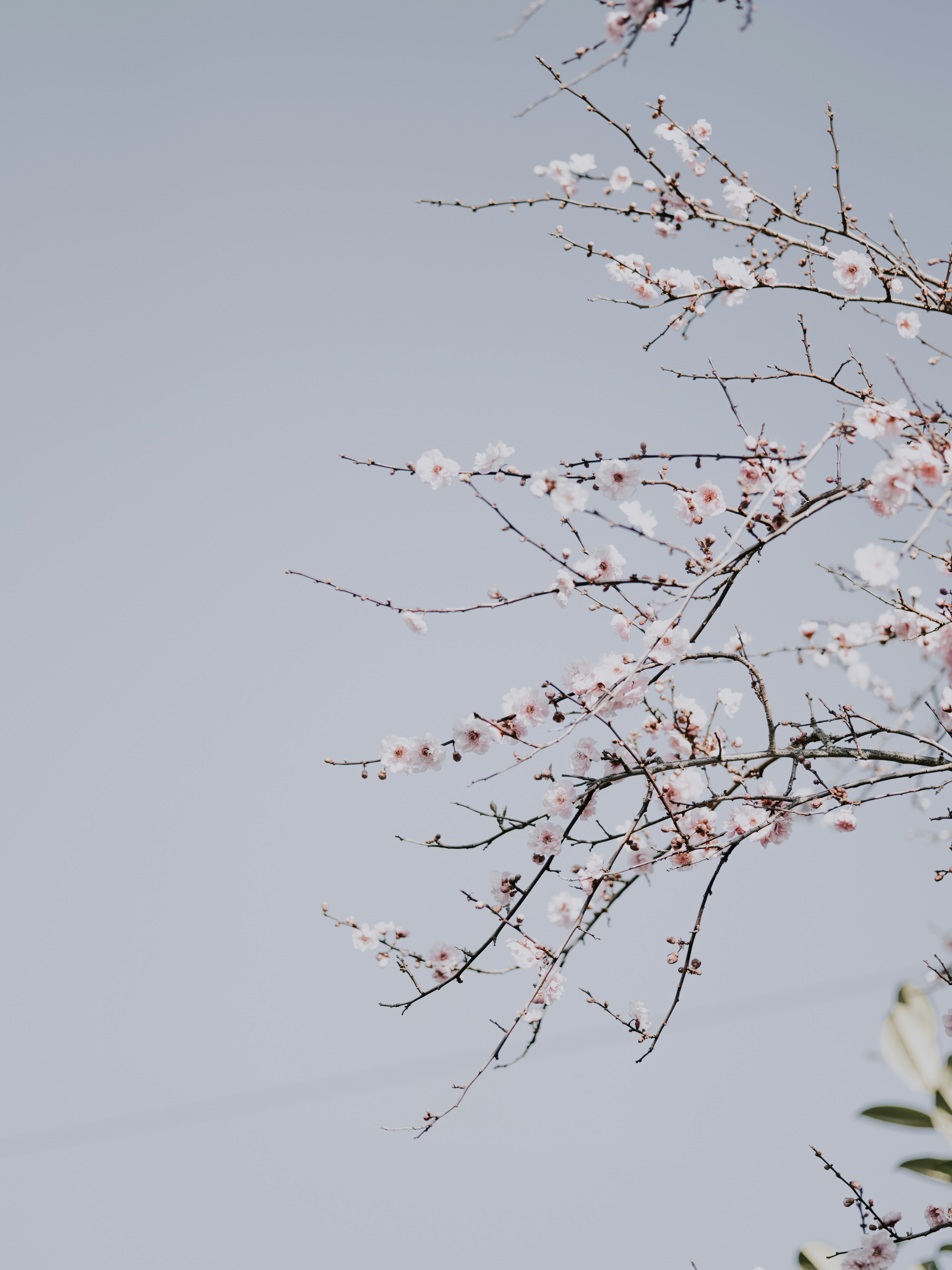 Photo by anniespratt