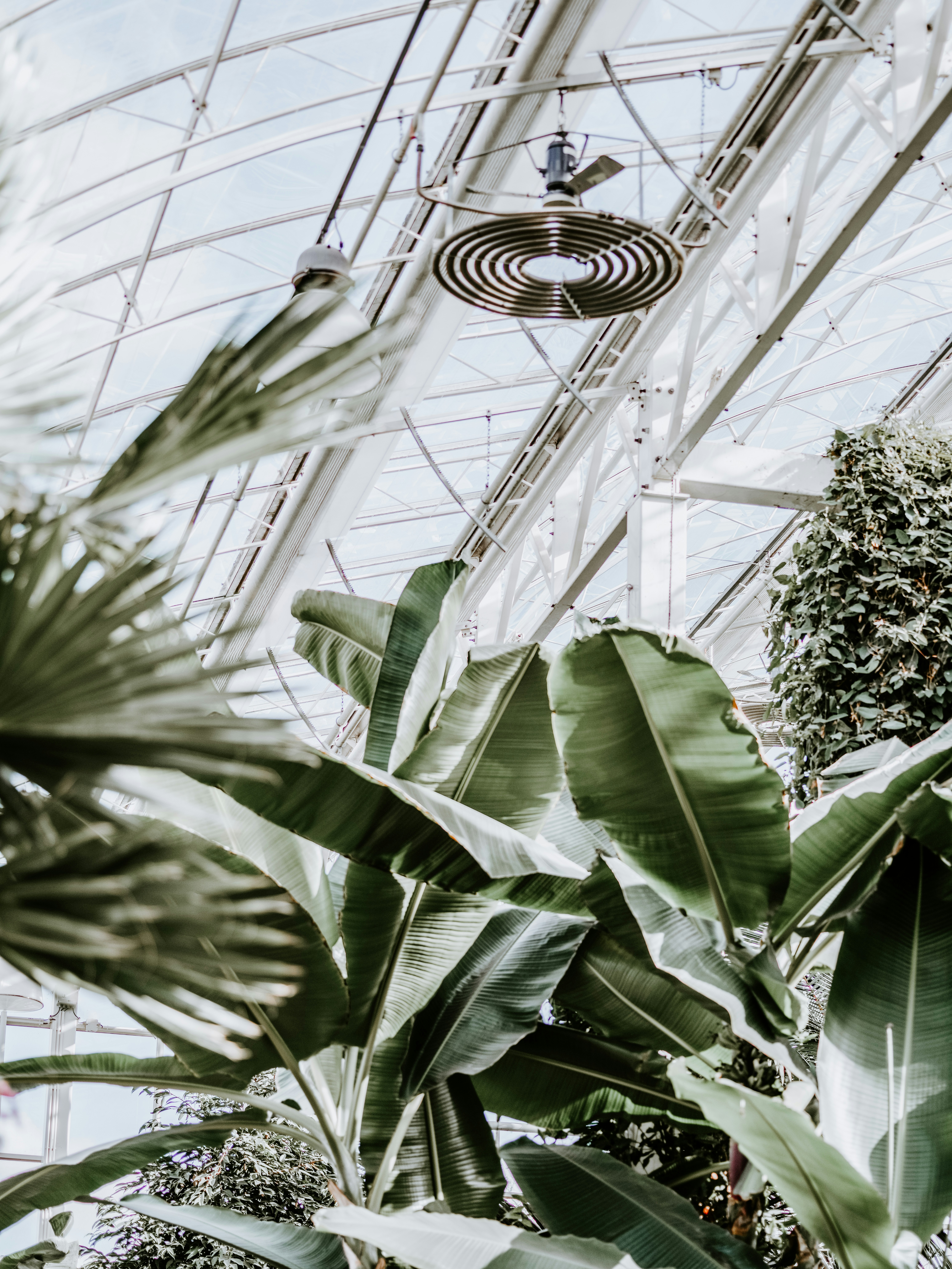 Photo by anniespratt