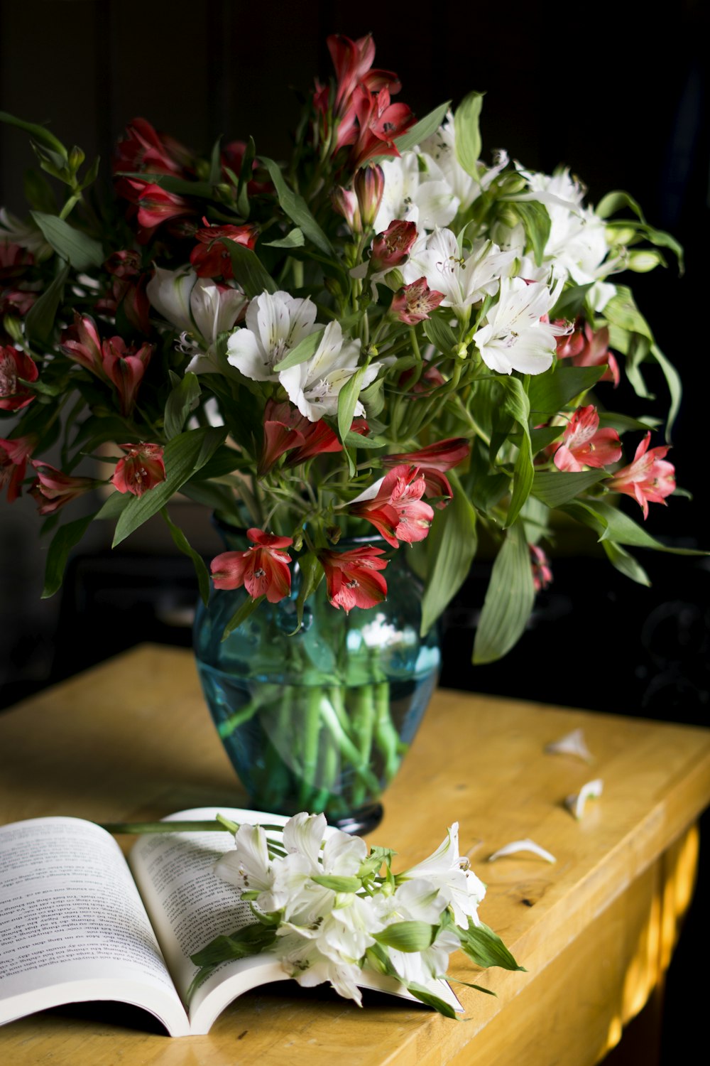 青い花瓶に白と赤の花を咲かせる緑の葉の植物