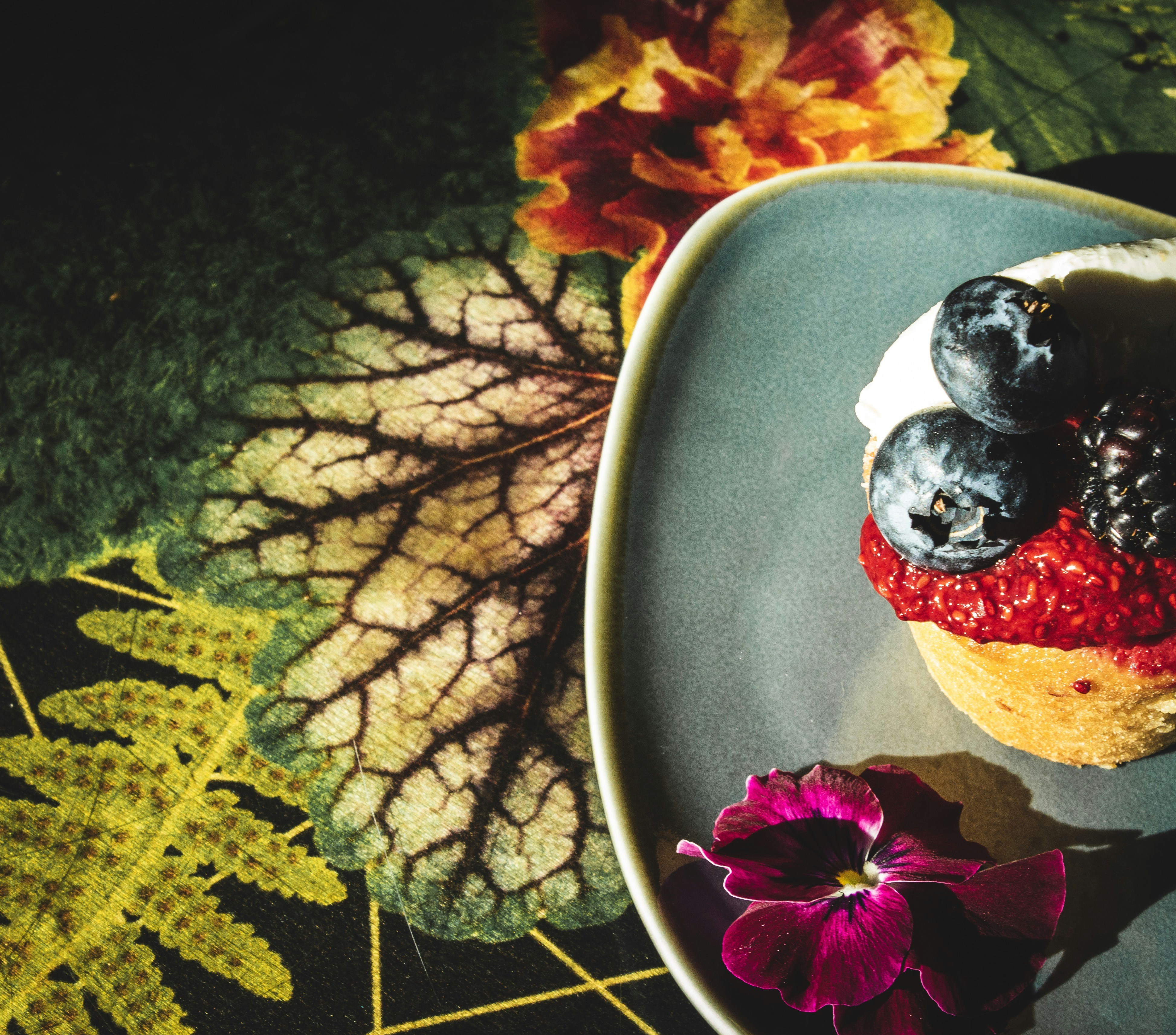 The DNA Compass in Migrating Animals