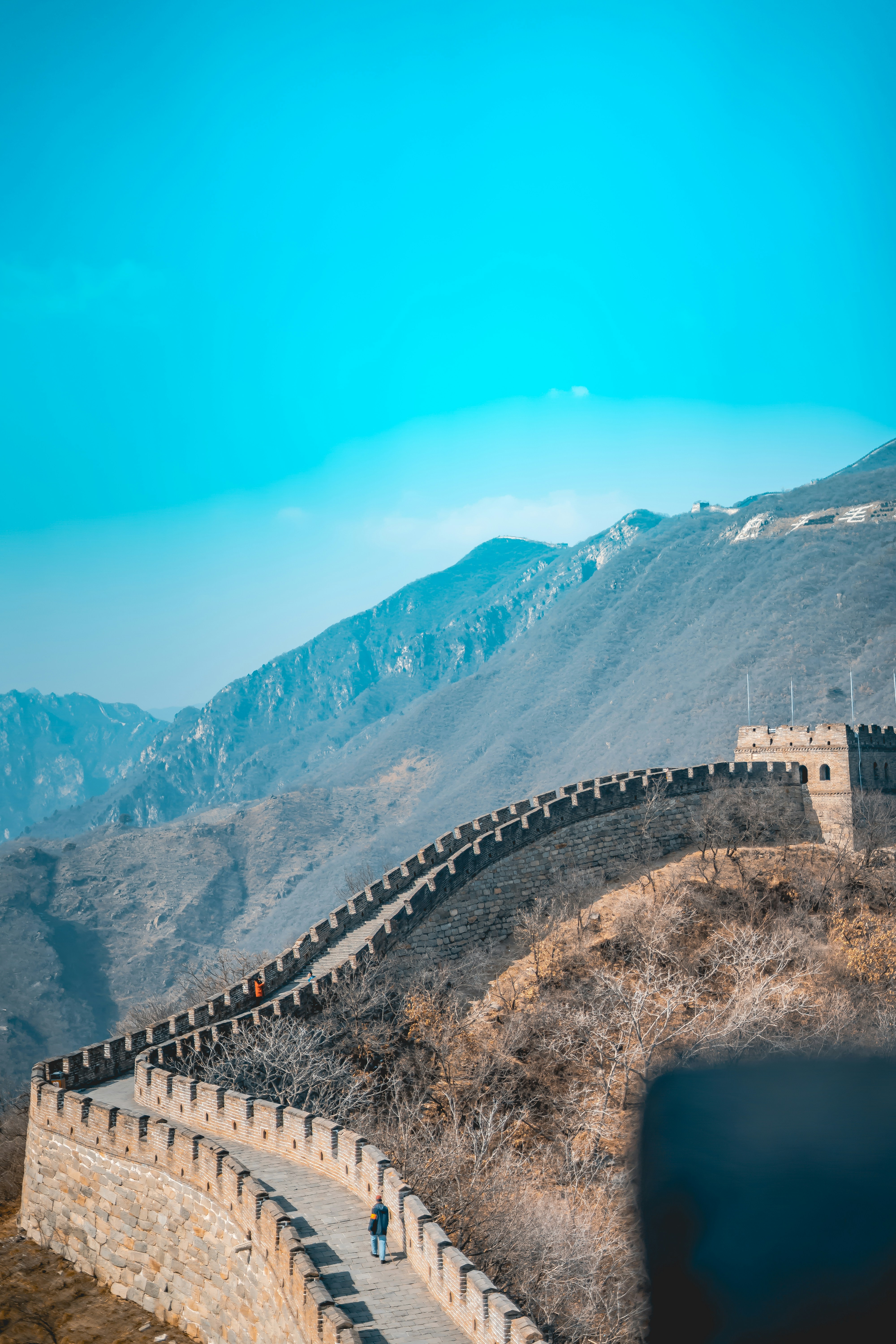 Hidden Under Green: The New Great Wall of China