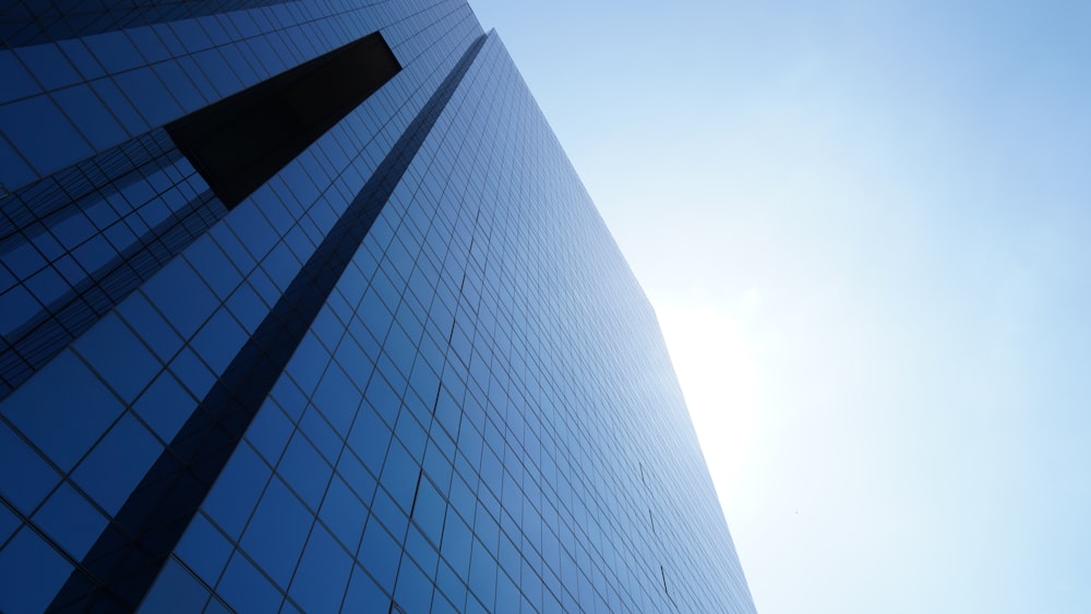 tall blue glass paneled building under clear blue sky