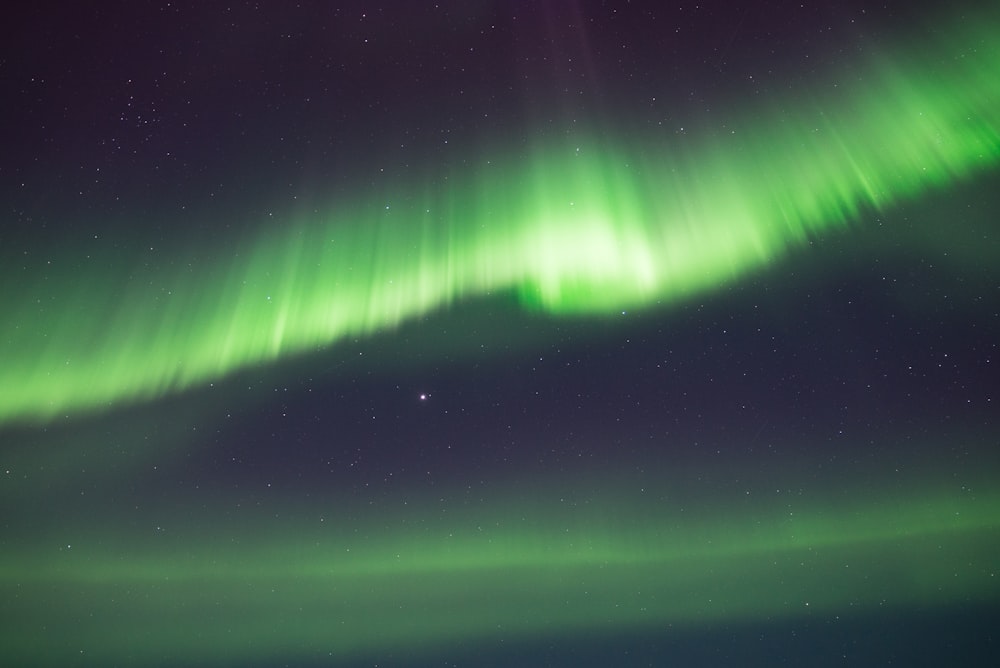 green Northern Lights wallpaper