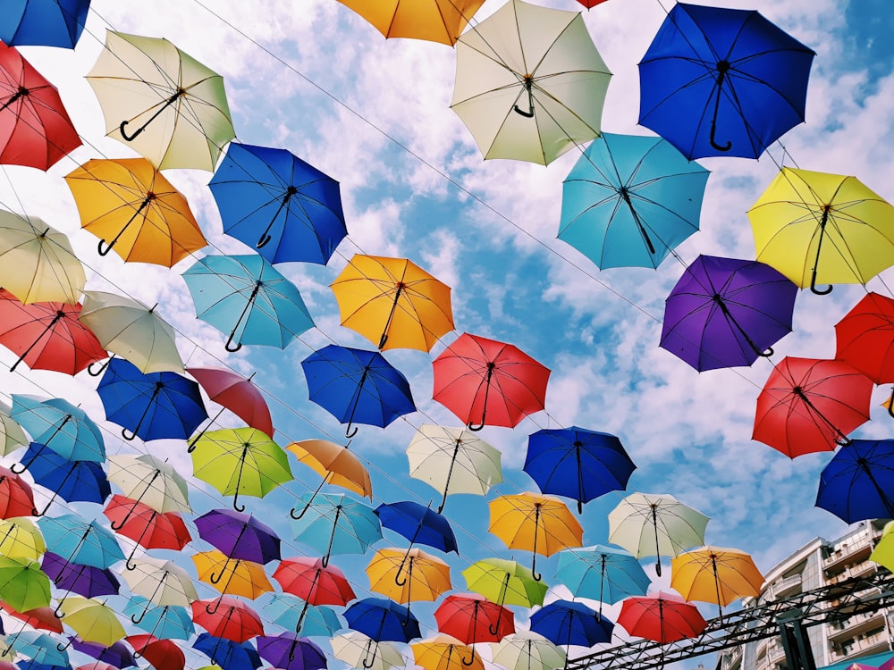 assorted-color umbrellas